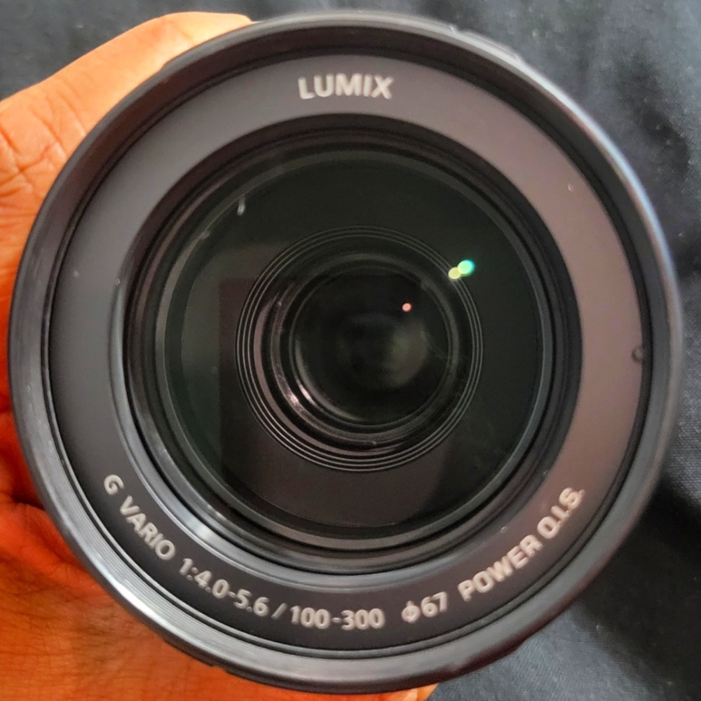 Panasonic Lumix G Vario 100-300mm f/4-5.6 II Camera Lens